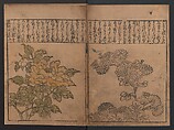 Illustrations of Birds and Flowers (Kachō e-zukushi) 花鳥絵づくし, Hishikawa Moronobu 菱川師宣 (Japanese, 1618–1694), Woodblock printed book; ink and color on paper, Japan