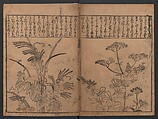 Illustrations of Birds and Flowers (Kachō e-zukushi) 花鳥絵づくし, Hishikawa Moronobu 菱川師宣 (Japanese, 1618–1694), Woodblock printed book; ink and color on paper, Japan