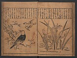 Illustrations of Birds and Flowers (Kachō e-zukushi) 花鳥絵づくし, Hishikawa Moronobu 菱川師宣 (Japanese, 1618–1694), Woodblock printed book; ink and color on paper, Japan