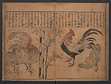 Illustrations of Birds and Flowers (Kachō e-zukushi) 花鳥絵づくし, Hishikawa Moronobu 菱川師宣 (Japanese, 1618–1694), Woodblock printed book; ink and color on paper, Japan