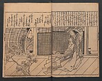 Illustrations of Beautiful Women (Bijin e-zukushi) 美人絵づくし, Hishikawa Moronobu 菱川師宣 (Japanese, 1618–1694), Set of three woodblock printed books; ink and color on paper, Japan