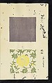 Patterns of Brocades Worn at Court (Shōzoku shokumon zue) 装束織文図会, Matsuoka Shiben, Ink and color on paper, Japan