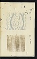 Patterns of Brocades Worn at Court (Shōzoku shokumon zue) 装束織文図会, Matsuoka Shiben, Ink and color on paper, Japan