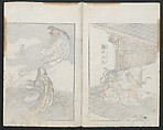 Transmitting the Spirit, Revealing the Form of Things: Hokusai Sketchbooks (Denshin kaishu: Hokusai manga, gohen) 伝神開手 北斎漫画 五編: vol. 5, Katsushika Hokusai 葛飾北斎 (Japanese, Tokyo (Edo) 1760–1849 Tokyo (Edo)), Woodblock printed book; ink and color on paper, Japan