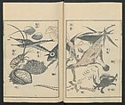 Transmitting the Spirit, Revealing the Form of Things: Hokusai Sketchbooks (Denshin kaishu: Hokusai manga, jūgohen) 伝神開手 北斎漫画 十五編: vol. 15, Katsushika Hokusai 葛飾北斎 (Japanese, Tokyo (Edo) 1760–1849 Tokyo (Edo)), Woodblock printed book; ink and color on paper, Japan
