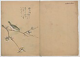 A Compendium of Small Birds (Kotori rui shū) 小鳥類集, Nantō (active early 19th century), Polychrome woodblock printed book, Japan