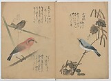 A Compendium of Small Birds (Kotori rui shū) 小鳥類集, Nantō (active early 19th century), Polychrome woodblock printed book, Japan
