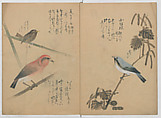 A Compendium of Small Birds (Kotori rui shū) 小鳥類集, Nantō (active early 19th century), Polychrome woodblock printed book, Japan