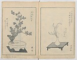 A Book on Flower Arrangement: Hare's-Foot Fern (Shinobugusa) 師廼部供作 (vol. 2); 思乃父魚砂 (vol. 3), Yoshida Tōgetsu 吉田桃月, Monochrome Woodblock printed books; ink on paper, Japan