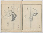 A Book on Flower Arrangement: Hare's-Foot Fern (Shinobugusa) 師廼部供作 (vol. 2); 思乃父魚砂 (vol. 3), Yoshida Tōgetsu 吉田桃月, Monochrome Woodblock printed books; ink on paper, Japan