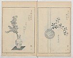 A Book on Flower Arrangement: Hare's-Foot Fern (Shinobugusa) 師廼部供作 (vol. 2); 思乃父魚砂 (vol. 3), Yoshida Tōgetsu 吉田桃月, Monochrome Woodblock printed books; ink on paper, Japan