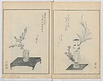 A Book on Flower Arrangement: Hare's-Foot Fern (Shinobugusa) 師廼部供作 (vol. 2); 思乃父魚砂 (vol. 3), Yoshida Tōgetsu 吉田桃月, Monochrome Woodblock printed books; ink on paper, Japan