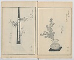 A Book on Flower Arrangement: Hare's-Foot Fern (Shinobugusa) 師廼部供作 (vol. 2); 思乃父魚砂 (vol. 3), Yoshida Tōgetsu 吉田桃月, Monochrome Woodblock printed books; ink on paper, Japan