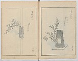 A Book on Flower Arrangement: Hare's-Foot Fern (Shinobugusa) 師廼部供作 (vol. 2);  思乃父魚砂 (vol. 3), Yoshida Tōgetsu 吉田桃月, Monochrome Woodblock printed books; ink on paper, Japan