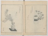 A Book on Flower Arrangement: Hare's-Foot Fern (Shinobugusa) 師廼部供作 (vol. 2);  思乃父魚砂 (vol. 3), Yoshida Tōgetsu 吉田桃月, Monochrome Woodblock printed books; ink on paper, Japan