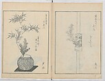 A Book on Flower Arrangement: Hare's-Foot Fern (Shinobugusa) 師廼部供作 (vol. 2);  思乃父魚砂 (vol. 3), Yoshida Tōgetsu 吉田桃月, Monochrome Woodblock printed books; ink on paper, Japan