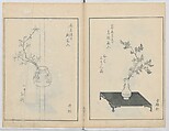 A Book on Flower Arrangement: Hare's-Foot Fern (Shinobugusa) 師廼部供作 (vol. 2);  思乃父魚砂 (vol. 3), Yoshida Tōgetsu 吉田桃月, Monochrome Woodblock printed books; ink on paper, Japan