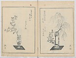 A Book on Flower Arrangement: Hare's-Foot Fern (Shinobugusa) 師廼部供作 (vol. 2);  思乃父魚砂 (vol. 3), Yoshida Tōgetsu 吉田桃月, Monochrome Woodblock printed books; ink on paper, Japan