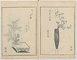 A Book on Flower Arrangement: Hare's-Foot Fern (Shinobugusa) 師廼部供作 (vol. 2);  思乃父魚砂 (vol. 3), Yoshida Tōgetsu 吉田桃月, Monochrome Woodblock printed books; ink on paper, Japan