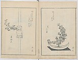 A Book on Flower Arrangement: Hare's-Foot Fern (Shinobugusa) 師廼部供作 (vol. 2);  思乃父魚砂 (vol. 3), Yoshida Tōgetsu 吉田桃月, Monochrome Woodblock printed books; ink on paper, Japan
