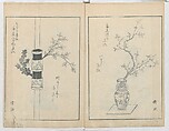 A Book on Flower Arrangement: Hare's-Foot Fern (Shinobugusa) 師廼部供作 (vol. 2);  思乃父魚砂 (vol. 3), Yoshida Tōgetsu 吉田桃月, Monochrome Woodblock printed books; ink on paper, Japan