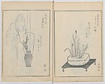 A Book on Flower Arrangement: Hare's-Foot Fern (Shinobugusa) 師廼部供作 (vol. 2);  思乃父魚砂 (vol. 3), Yoshida Tōgetsu 吉田桃月, Monochrome Woodblock printed books; ink on paper, Japan