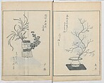 A Book on Flower Arrangement: Hare's-Foot Fern (Shinobugusa) 師廼部供作 (vol. 2);  思乃父魚砂 (vol. 3), Yoshida Tōgetsu 吉田桃月, Monochrome Woodblock printed books; ink on paper, Japan