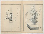A Book on Flower Arrangement: Hare's-Foot Fern (Shinobugusa) 師廼部供作 (vol. 2);  思乃父魚砂 (vol. 3), Yoshida Tōgetsu 吉田桃月, Monochrome Woodblock printed books; ink on paper, Japan