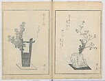 A Book on Flower Arrangement: Hare's-Foot Fern (Shinobugusa) 師廼部供作 (vol. 2);  思乃父魚砂 (vol. 3), Yoshida Tōgetsu 吉田桃月, Monochrome Woodblock printed books; ink on paper, Japan