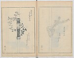 A Book on Flower Arrangement: Hare's-Foot Fern (Shinobugusa) 師廼部供作 (vol. 2);  思乃父魚砂 (vol. 3), Yoshida Tōgetsu 吉田桃月, Monochrome Woodblock printed books; ink on paper, Japan
