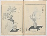 A Book on Flower Arrangement: Hare's-Foot Fern (Shinobugusa) 師廼部供作 (vol. 2);  思乃父魚砂 (vol. 3), Yoshida Tōgetsu 吉田桃月, Monochrome Woodblock printed books; ink on paper, Japan