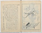 A Book on Flower Arrangement: Hare's-Foot Fern (Shinobugusa) 師廼部供作 (vol. 2);  思乃父魚砂 (vol. 3), Yoshida Tōgetsu 吉田桃月, Monochrome Woodblock printed books; ink on paper, Japan