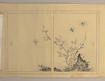 Japanese Drawing, On paper, Japan