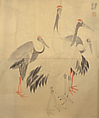 Japanese Drawing, On paper, Japan