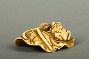 Netsuke of Frog on a Lotus Leaf, Ivory, Japan