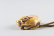 Netsuke in the Shape of a Deer, Ivory, Japan