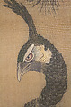 Peacocks, Pine Tree, and Peonies, Style of Lü Ji 呂紀 (Chinese, active late 15th century), Hanging scroll; ink and color on silk, Japan
