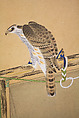 Tethered Hawks, After Soga Chokuan (Japanese, active ca. 1596–1615), Six-panel folding screen; ink and color on paper, Japan