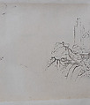 Landscape and Plant Studies, Xie Zhiliu (Chinese, 1910–1997), Drawing; ink on transparent paper, China