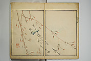 Picture Album by Ōson (Hōitsu) (Ōson fuga), Sakai Hōitsu 酒井抱一 (Japanese, 1761–1828), Woodblock printed book; ink and color on paper, Japan