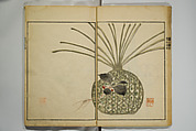 Picture Album by Ōson (Hōitsu) (Ōson fuga), Sakai Hōitsu 酒井抱一 (Japanese, 1761–1828), Woodblock printed book; ink and color on paper, Japan