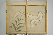 Picture Album by Ōson (Hōitsu) (Ōson fuga), Sakai Hōitsu 酒井抱一 (Japanese, 1761–1828), Woodblock printed book; ink and color on paper, Japan
