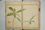 Picture Album by Ōson (Hōitsu) (Ōson fuga), Sakai Hōitsu 酒井抱一 (Japanese, 1761–1828), Woodblock printed book; ink and color on paper, Japan