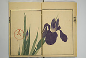 Ōson (Hōitsu) Picture Album (Ōson gafu), Sakai Hōitsu 酒井抱一 (Japanese, 1761–1828), Woodblock printed book; ink and color on paper, Japan