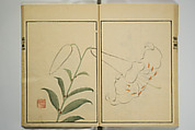 Ōson (Hōitsu) Picture Album (Ōson gafu), Sakai Hōitsu 酒井抱一 (Japanese, 1761–1828), Woodblock printed book; ink and color on paper, Japan