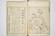 Transmitting the Spirit, Revealing the Form of Things, Volume 1 to 15 of Hokusai Sketchbooks (Denshin kaishu: Hokusai manga, shohen–jugohen) 伝神開手北斎漫画 初編-十五編, Katsushika Hokusai 葛飾北斎 (Japanese, Tokyo (Edo) 1760–1849 Tokyo (Edo)), Set of fifteen woodblock printed books; ink and color on paper, Japan