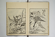 Picture Album Transmitting the Spirit: The Hokusai Drawing Style (Denshin gafu Hokusai gashiki), Katsushika Hokusai 葛飾北斎 (Japanese, Tokyo (Edo) 1760–1849 Tokyo (Edo)), Set of three woodblock printed books; ink on paper, Japan