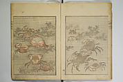 Picture Album Transmitting the Spirit: The Hokusai Drawing Style (Denshin gafu Hokusai gashiki), Katsushika Hokusai 葛飾北斎 (Japanese, Tokyo (Edo) 1760–1849 Tokyo (Edo)), Set of three woodblock printed books; ink on paper, Japan