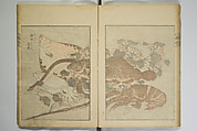 Picture Album Transmitting the Spirit: The Hokusai Drawing Style (Denshin gafu Hokusai gashiki), Katsushika Hokusai 葛飾北斎 (Japanese, Tokyo (Edo) 1760–1849 Tokyo (Edo)), Set of three woodblock printed books; ink on paper, Japan
