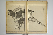 Various Pictures by Hokusai (Hokusai soga) 北斎麁画, Katsushika Hokusai 葛飾北斎 (Japanese, Tokyo (Edo) 1760–1849 Tokyo (Edo)), Woodblock printed book; ink on paper, Japan
